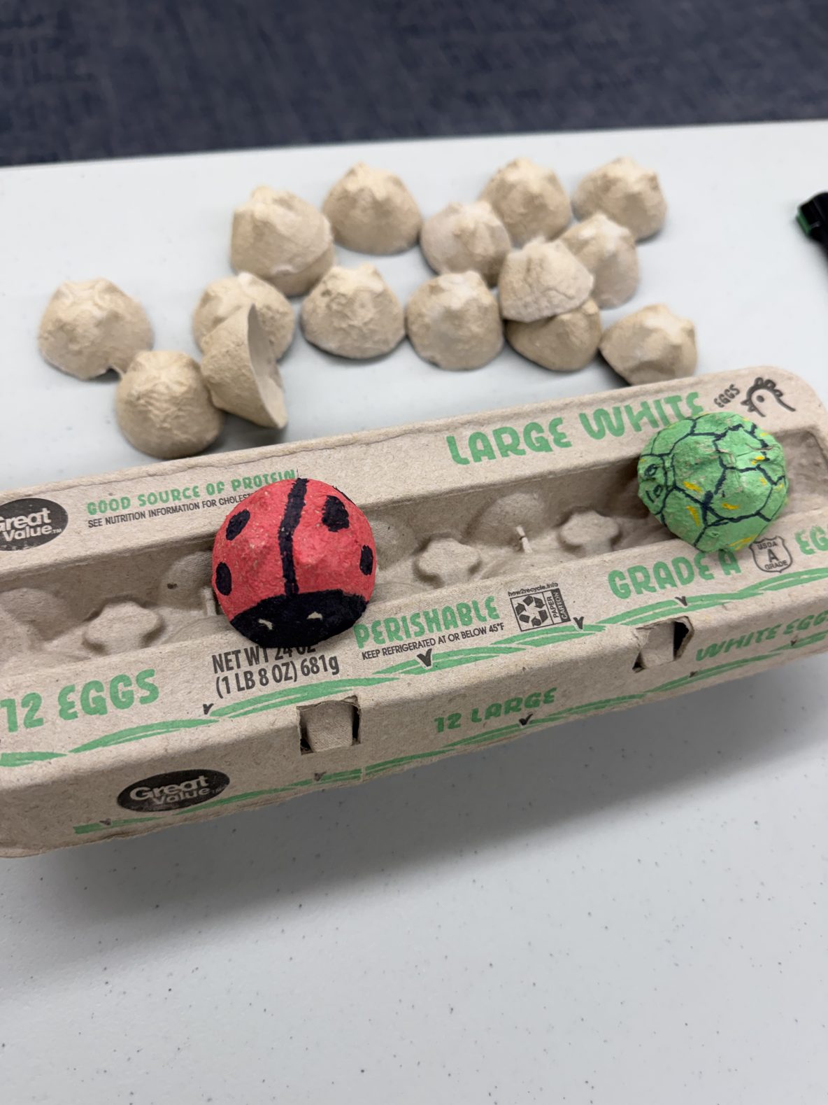 ladybug and turtle made out of egg carton